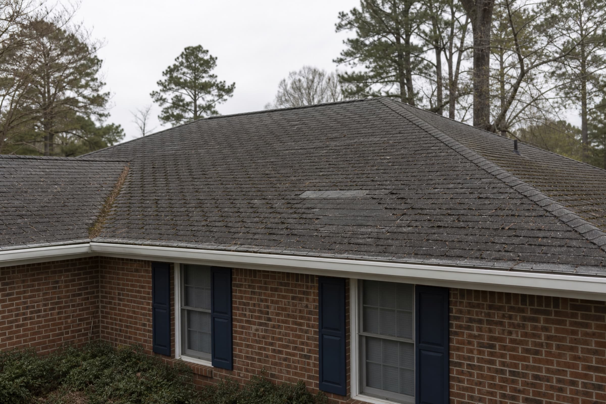 Weathered three-tab shingles with granule loss and hail bruising, moss in the north valley